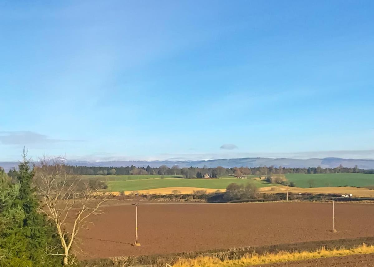 Beech Hedge * Coupar Angus